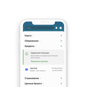 PLOTS_MINI_CREDIT_CAPACITY